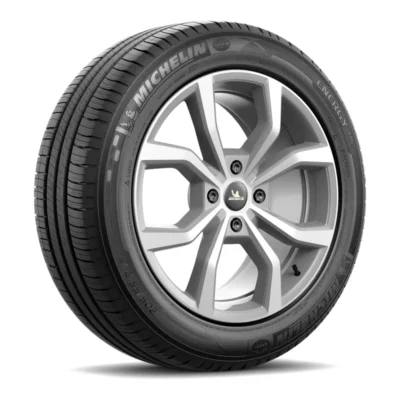 Michelin Energy XM2+