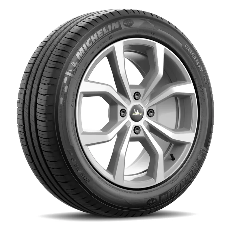 Neumático Michelin Energy XM2+